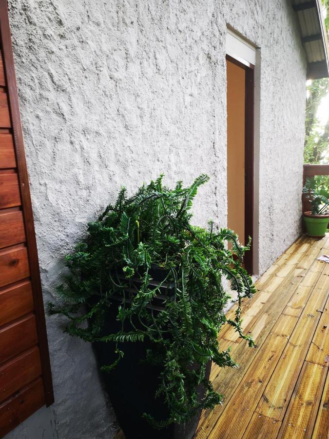 Bungalow Maelie La Trinité Kültér fotó